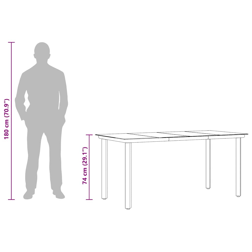 Garden Dining Table Black 160x80x74cm Steel and Tempered Glass