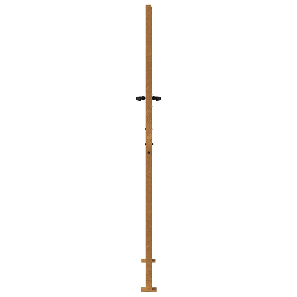 Garden Gate 100x175 cm Corten Steel
