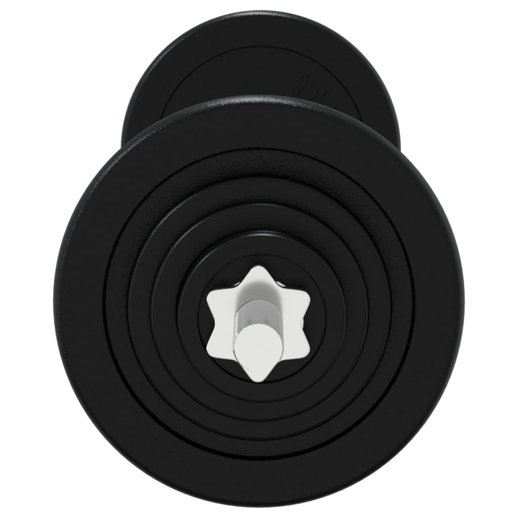 vidaXL Barbell with Plates 90 kg Cast Iron