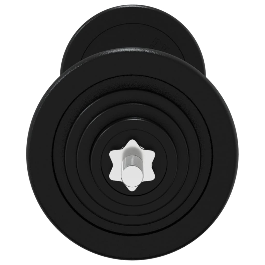 vidaXL Barbell with Plates 90 kg Cast Iron & Chrome Plated Steel