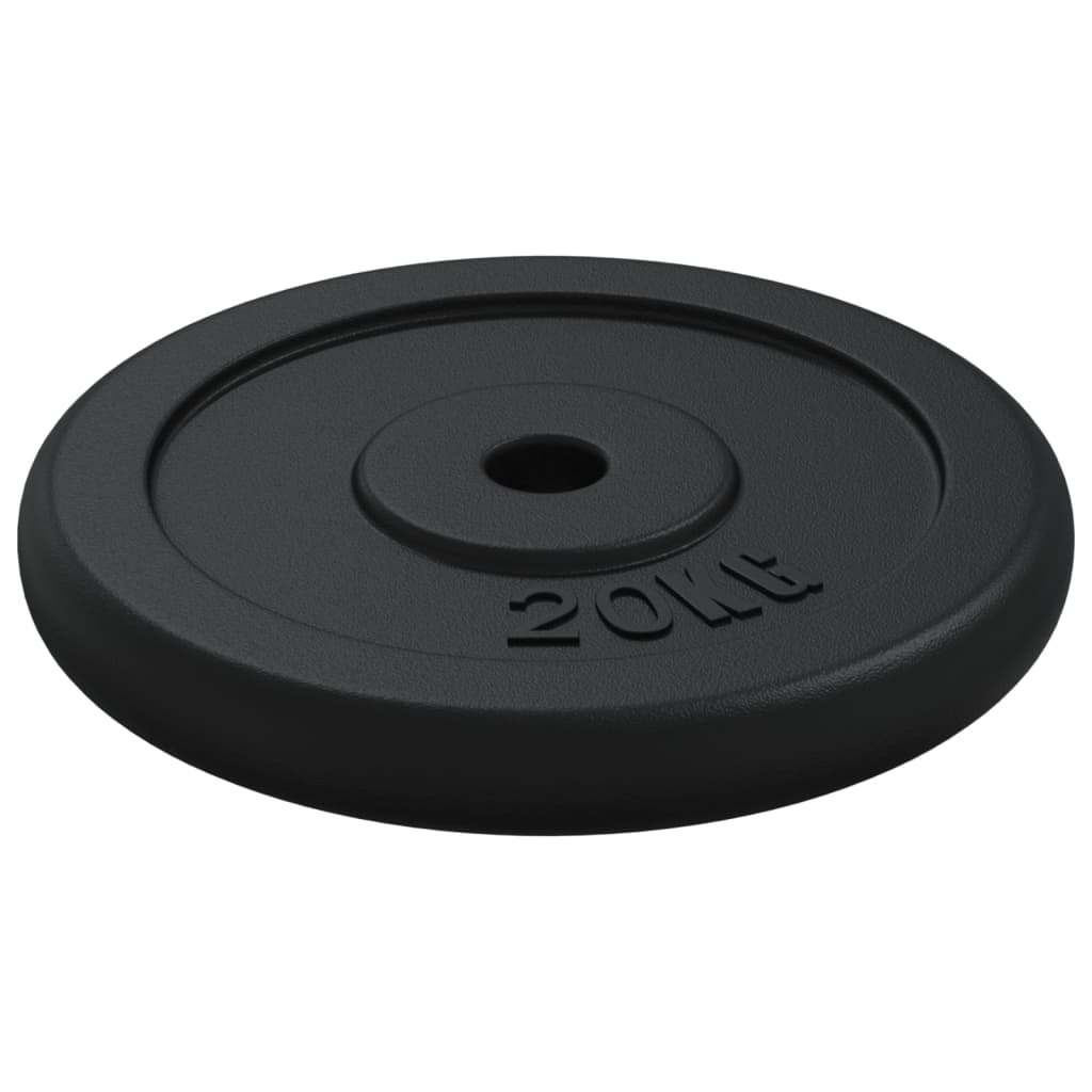 vidaXL Weight Plate 40 kg Cast Iron