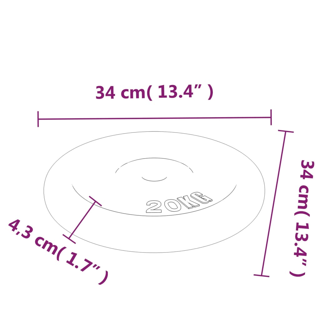 vidaXL Weight Plate 40 kg Cast Iron