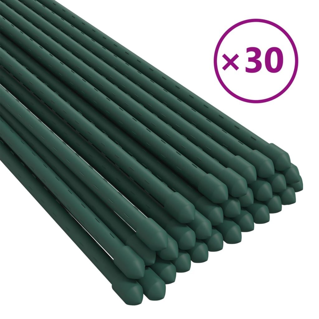 Garden Plant Stakes 30 pcs Green 60 cm Steel