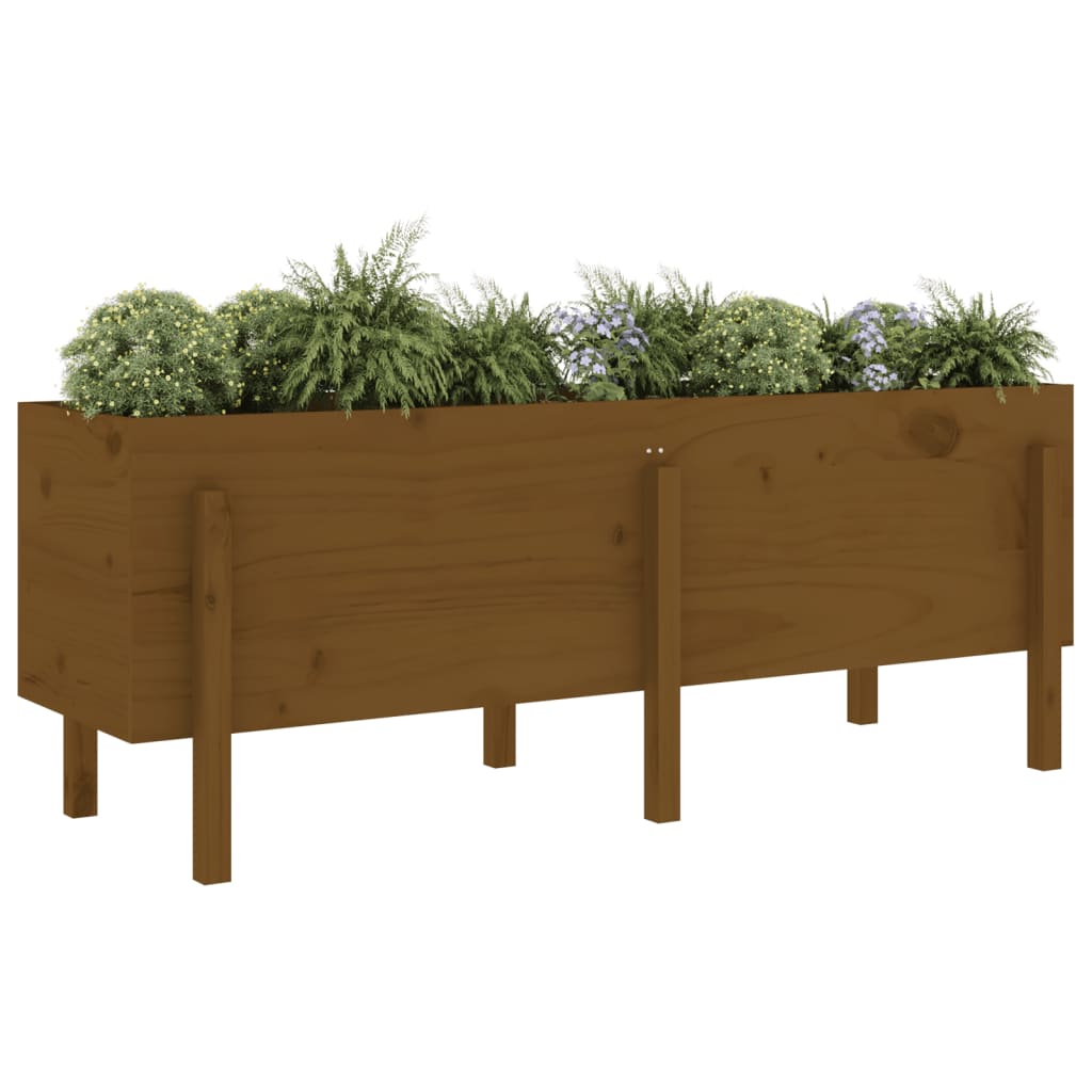 vidaXL Garden Raised Bed Honey Brown 160x50x57 cm Solid Wood Pine