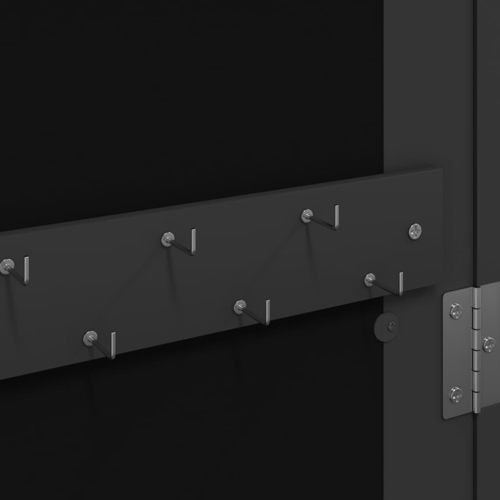 Mirror Jewellery Cabinet Wall Mounted Black 30x8.5x106 cm