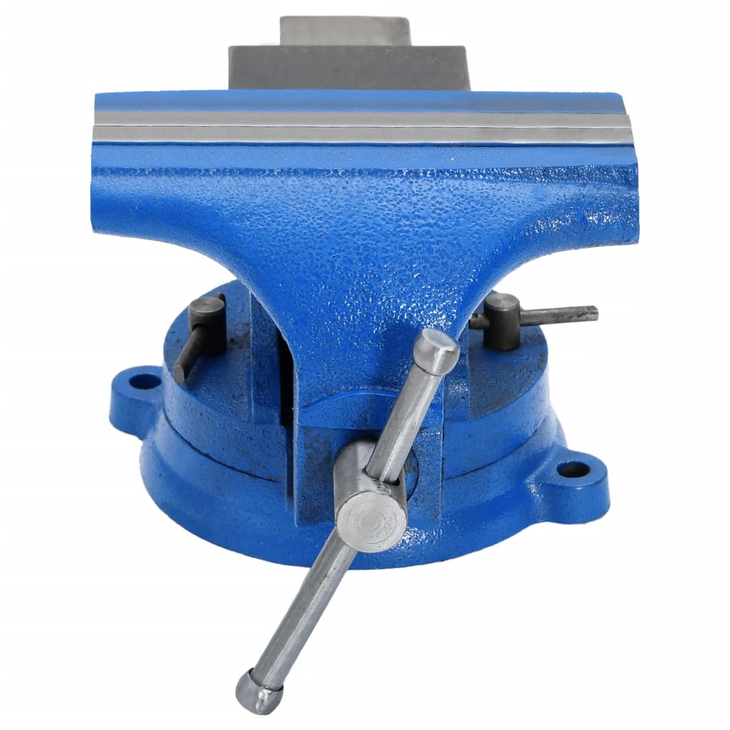 vidaXL Bench Vise Blue 125 mm Cast Iron