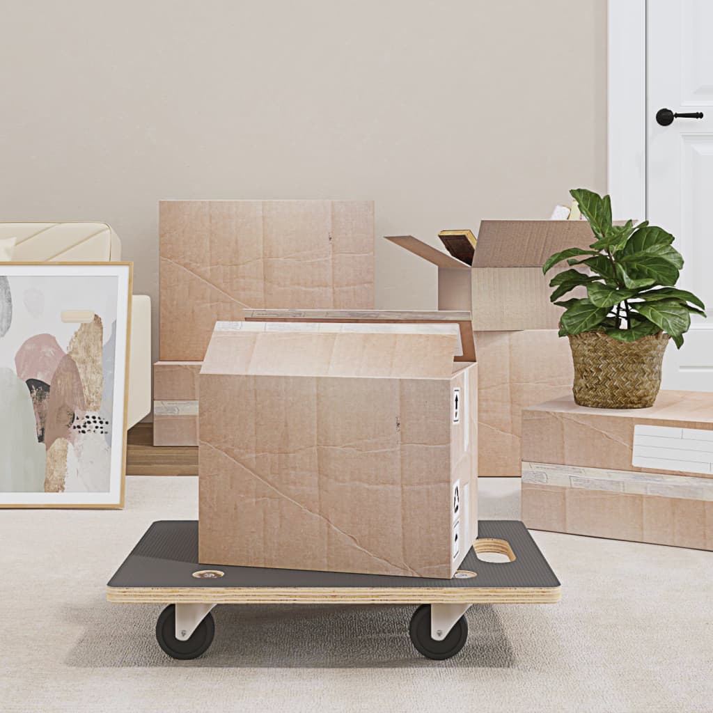 Transport Trolleys 2 pcs Rectangular 60x40x11.5 cm