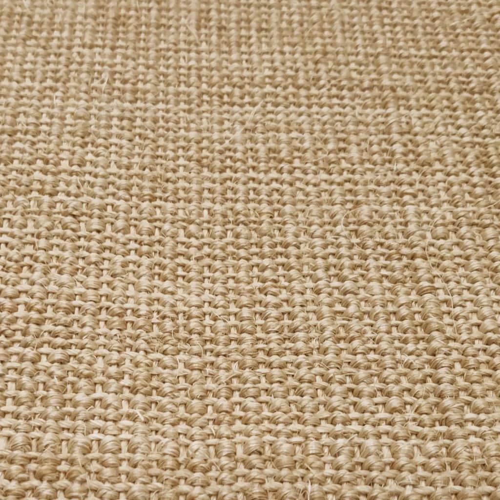 Sisal Rug for Scratching Post 66x300 cm
