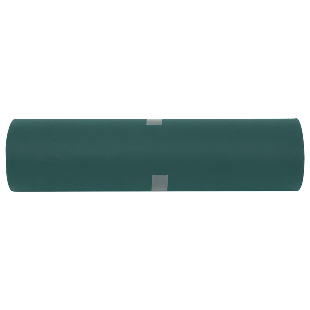 Plant Fleece 2 Rolls 70 g/m² 50x1.6 m