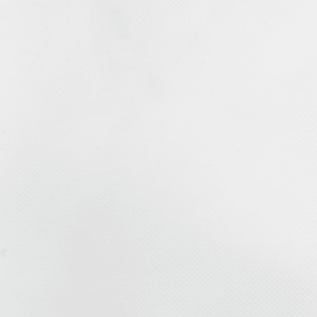 vidaXL Plant Fleece Covers with Drawstring 12 pcs 70 g/m² 0.8x1 m