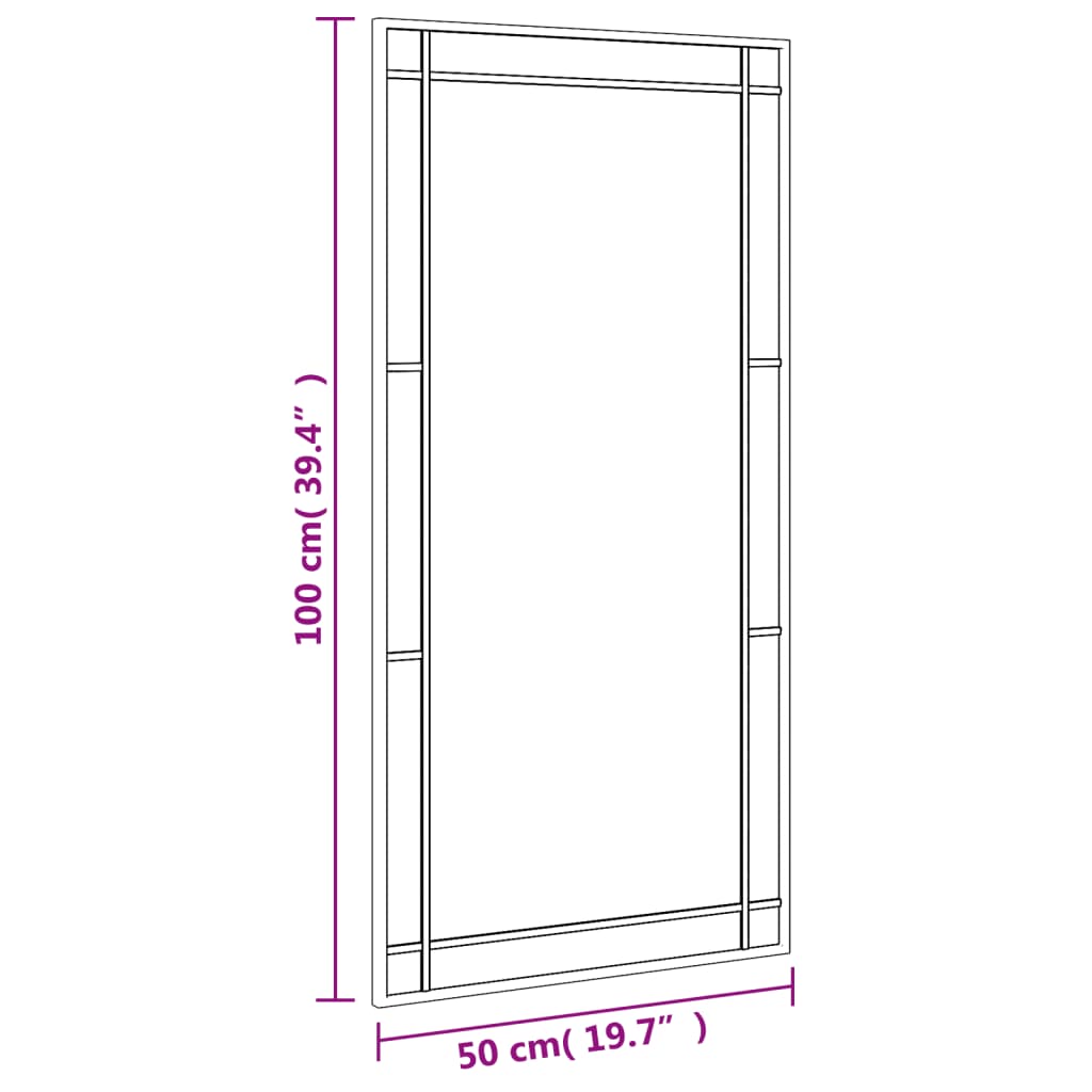 Wall Mirror Black 50x100 cm Rectangle Iron