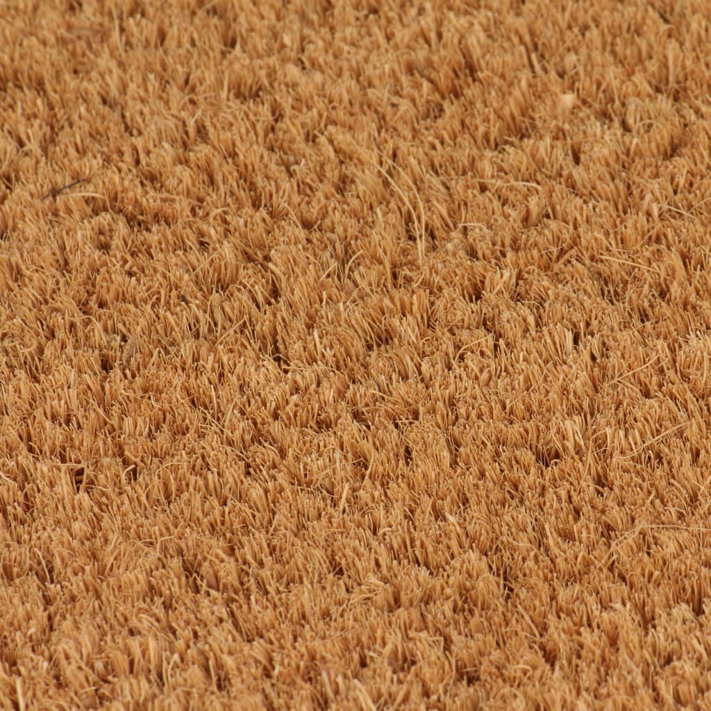 Door Mat Natural 50x80 cm Tufted Coir