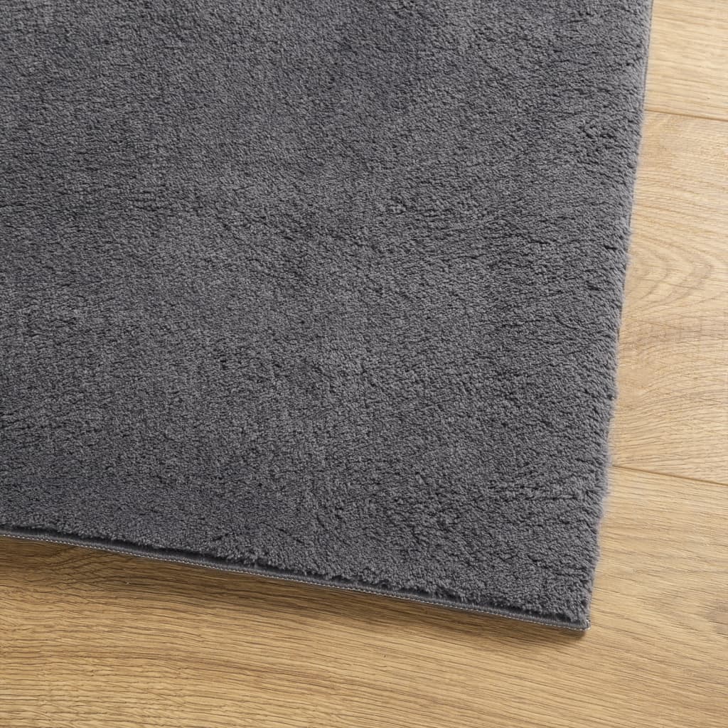 Rug HUARTE Short Pile Soft and Washable Anthracite 80x150 cm