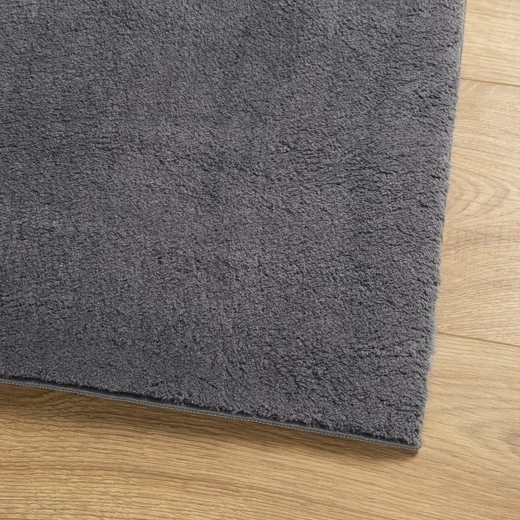 Rug HUARTE Short Pile Soft and Washable Anthracite 80x250 cm