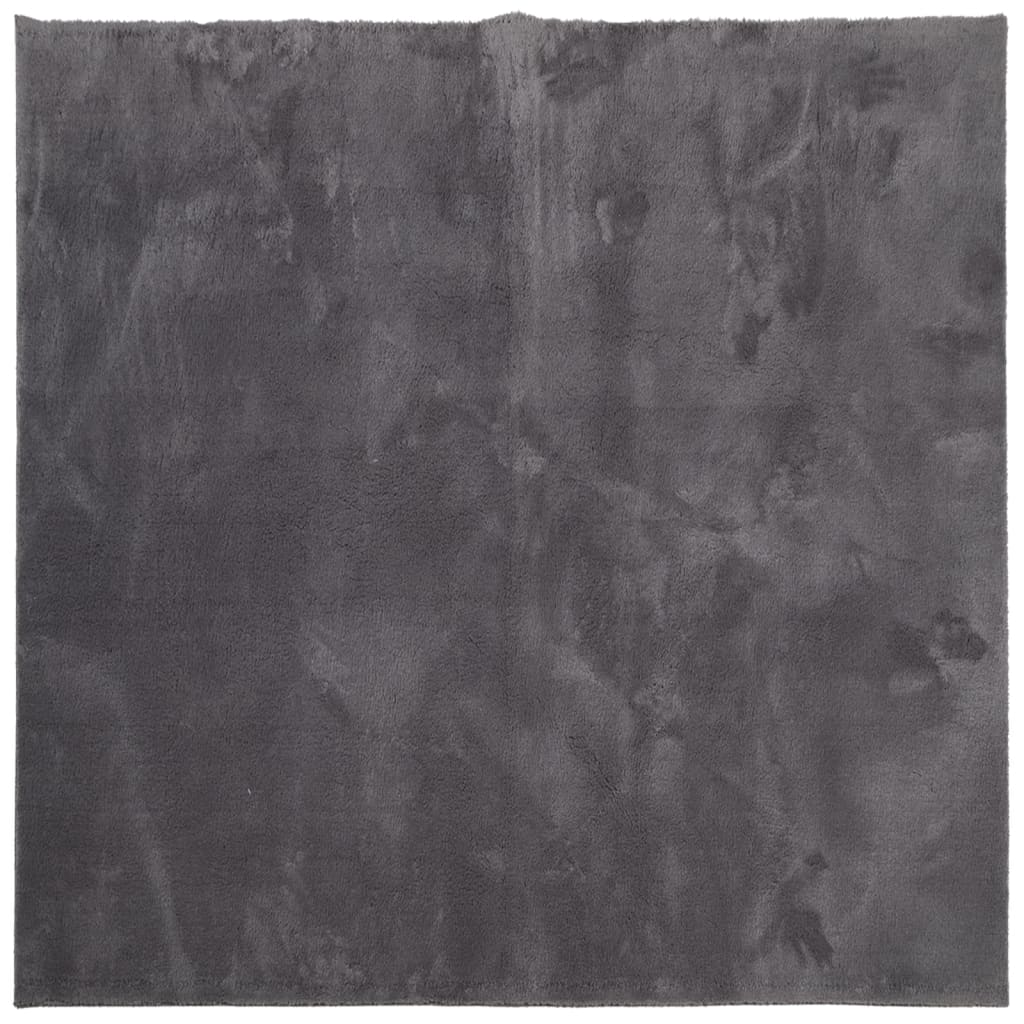 Rug HUARTE Short Pile Soft and Washable Anthracite 160x160 cm