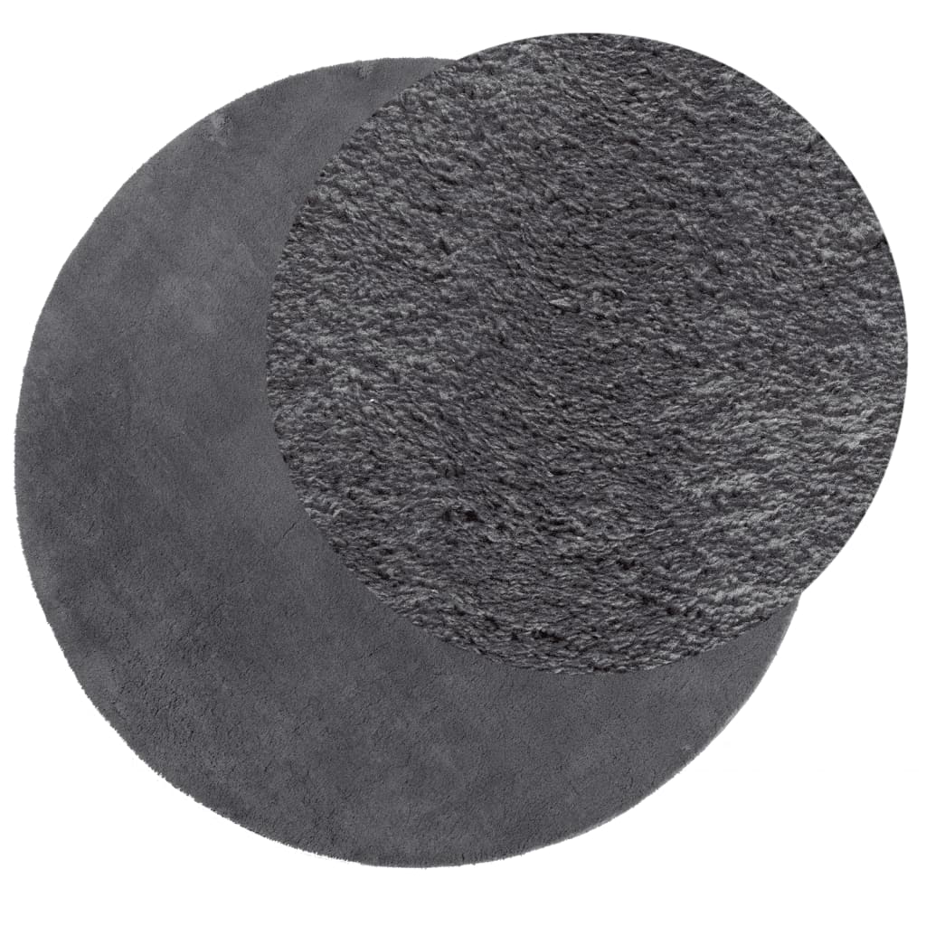 Rug HUARTE Short Pile Soft and Washable Anthracite Ø 200 cm