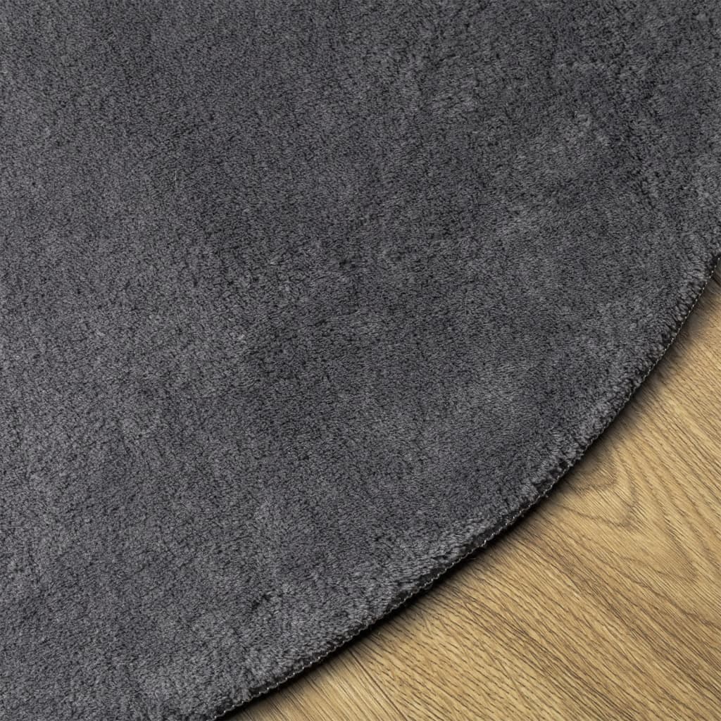 Rug HUARTE Short Pile Soft and Washable Anthracite Ø 200 cm