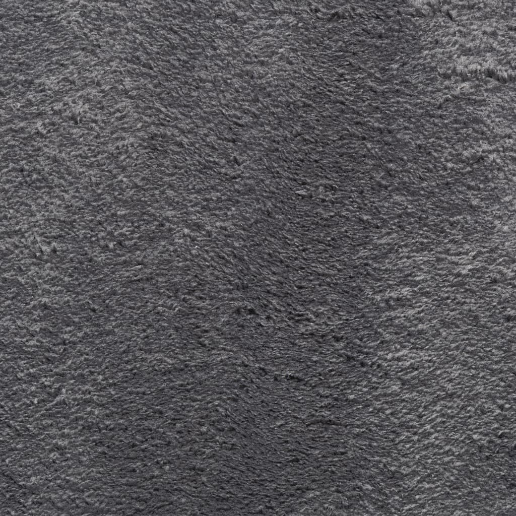 Rug HUARTE Short Pile Soft and Washable Anthracite Ø 200 cm