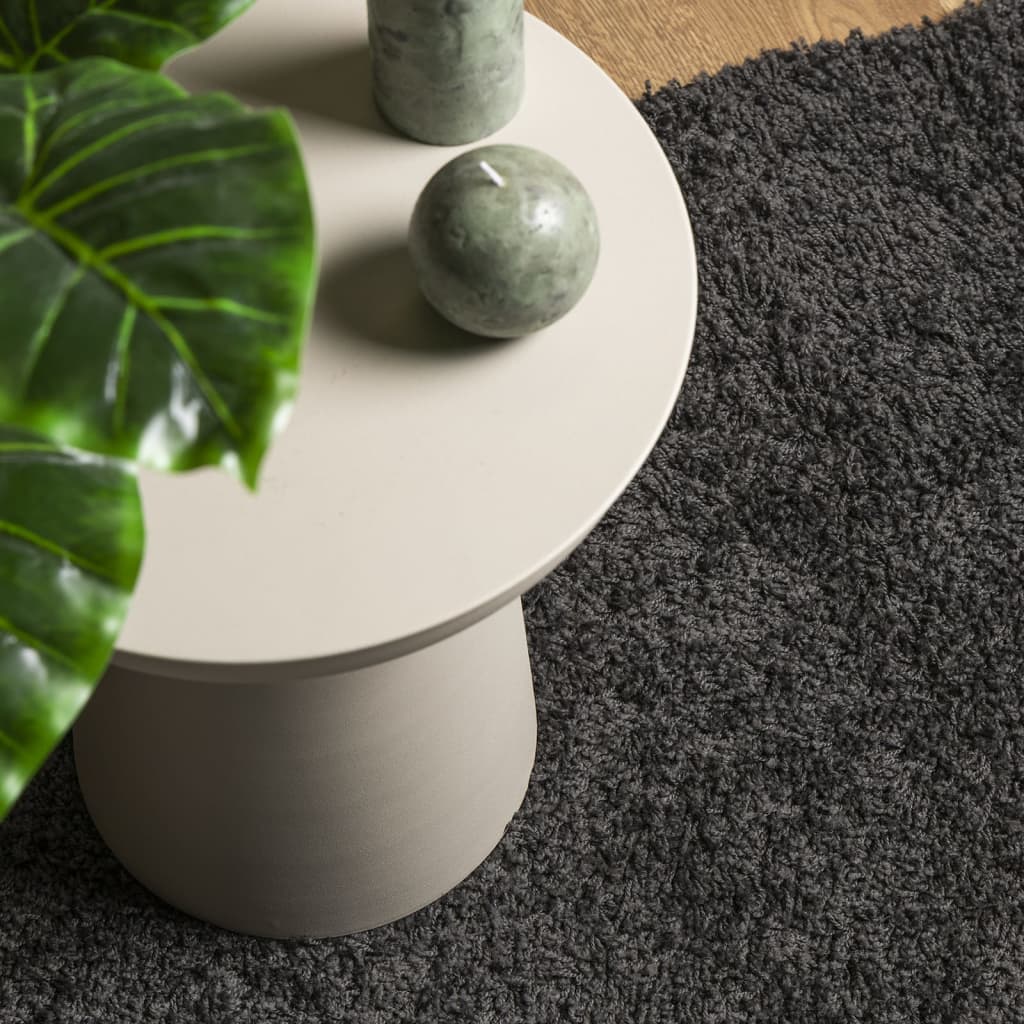 vidaXL Shaggy Rug High Pile Modern Anthracite 240x340 cm