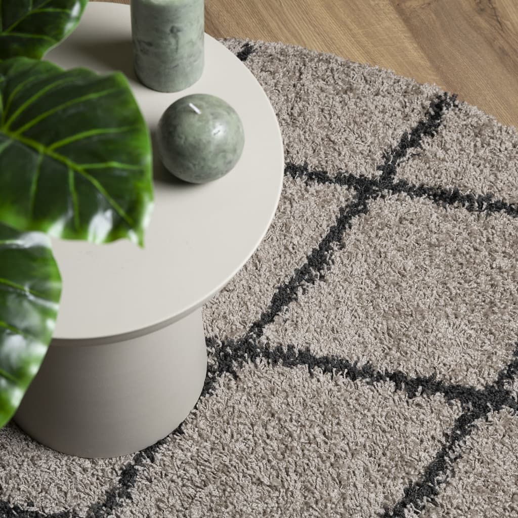 vidaXL Shaggy Rug PAMPLONA High Pile Modern Beige and Anthracite Ø 160 cm