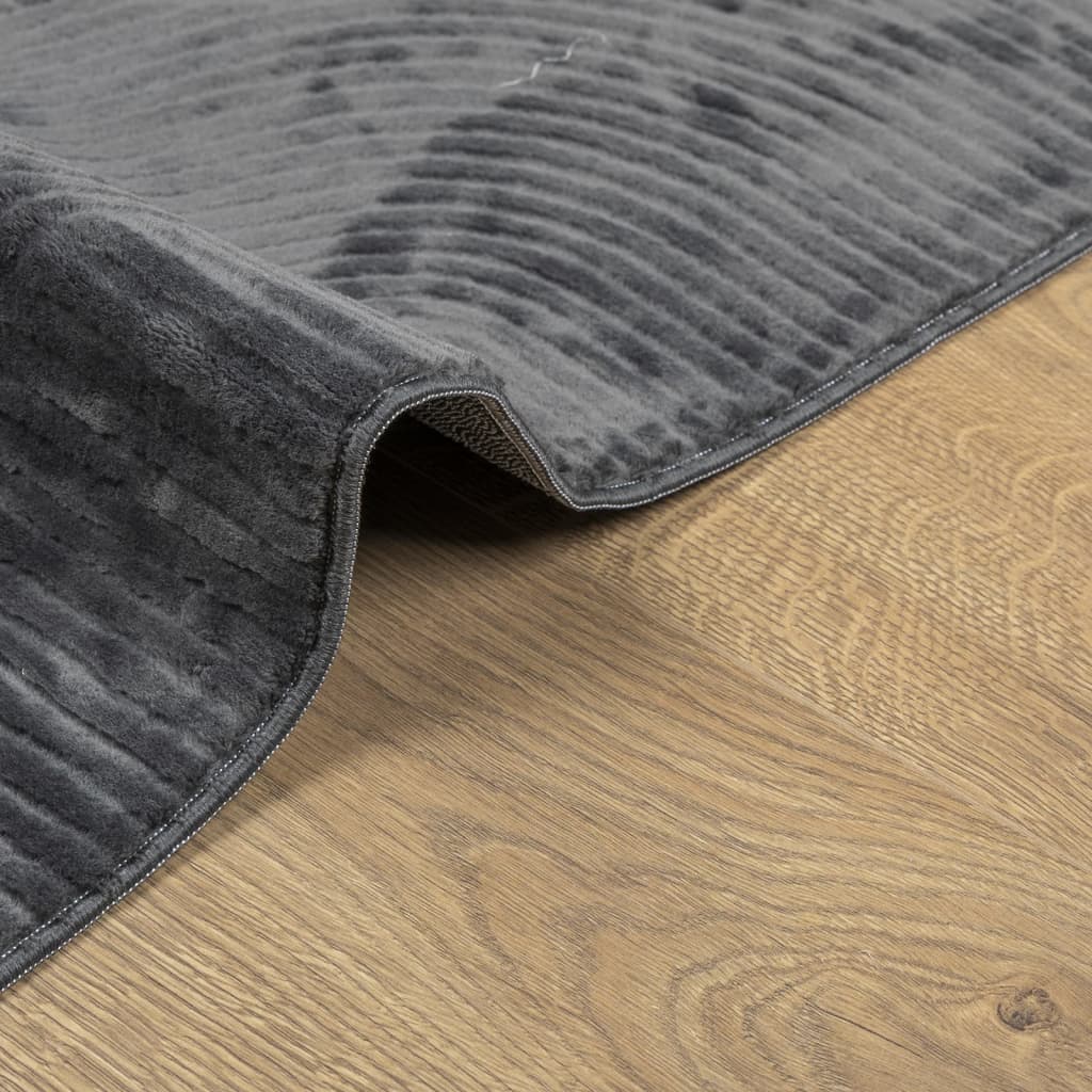 Rug IZA Short Pile Scandinavian Look Anthracite 240x340 cm