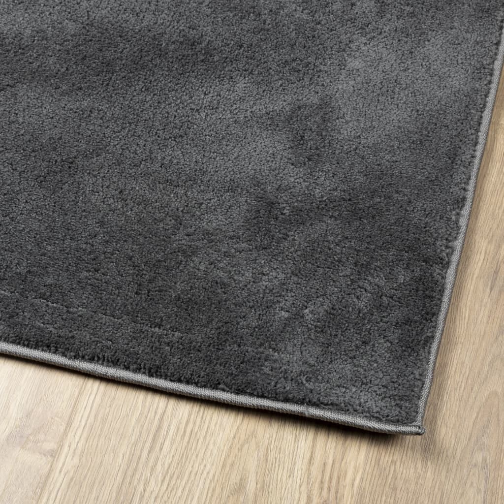 vidaXL Rug OVIEDO Short Pile Anthracite 80x250 cm