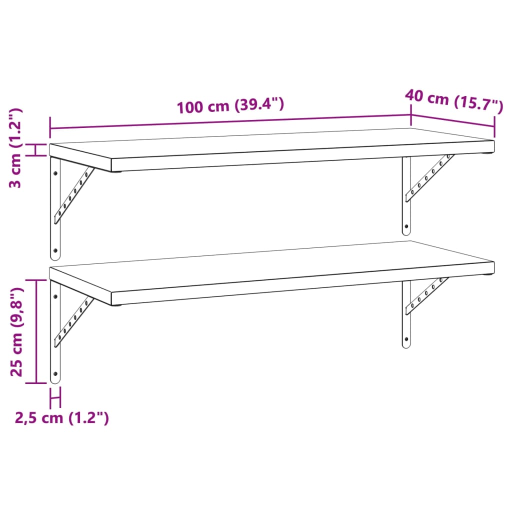 vidaXL Wall Shelves 2 pcs 100x40 cm Silver Stainless Steel