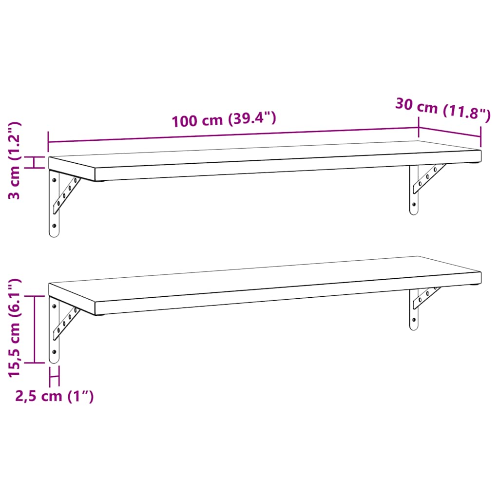 vidaXL Wall Shelves 2 pcs 100x30 cm Silver Stainless Steel