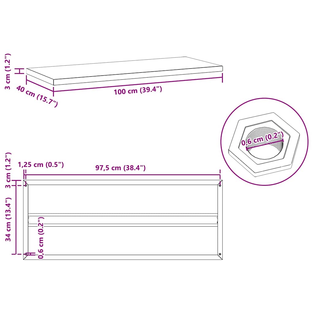 vidaXL Wall Shelves 2 pcs 100x40x3 cm Silver Stainless Steel