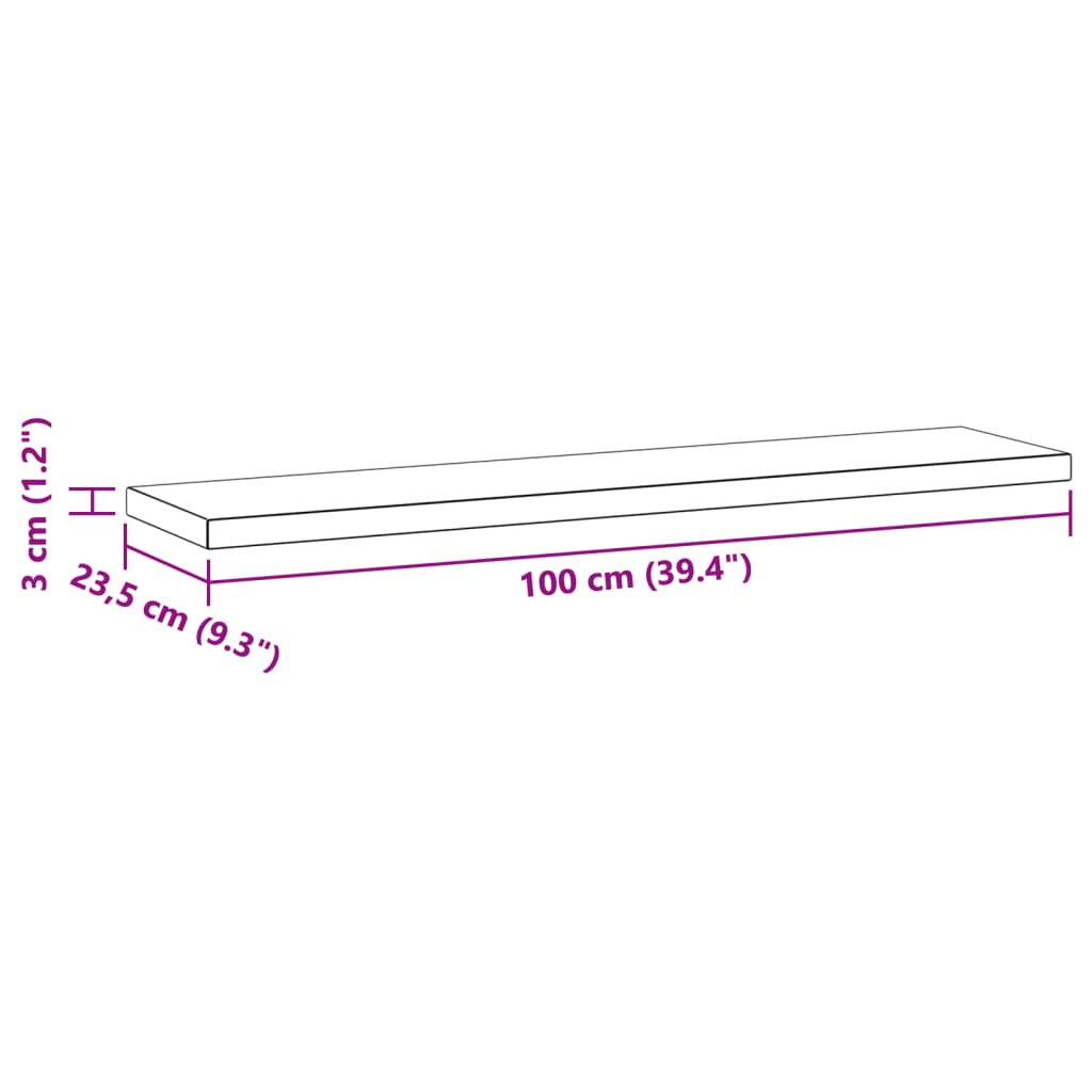 vidaXL Wall Shelves 2 pcs 100x23.5x3 cm Silver Stainless Steel