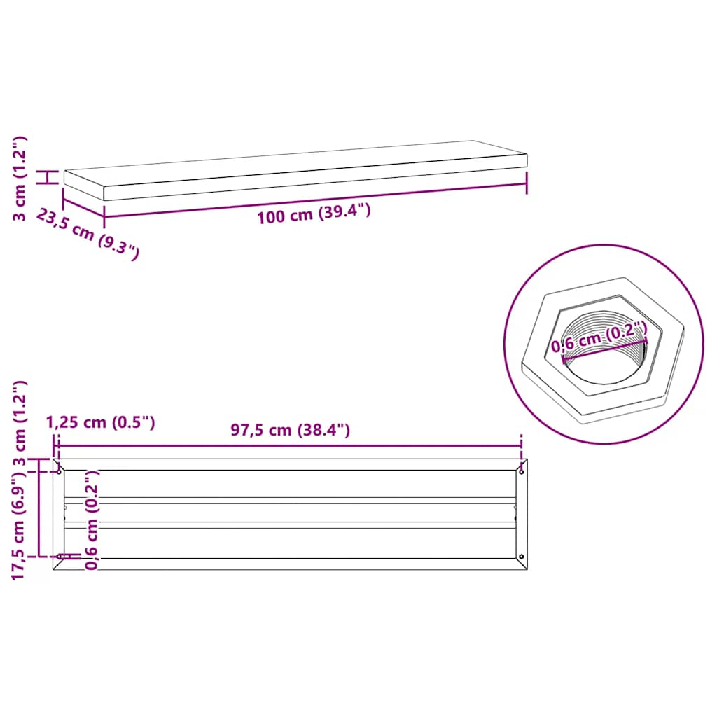 vidaXL Wall Shelves 2 pcs 100x23.5x3 cm Silver Stainless Steel