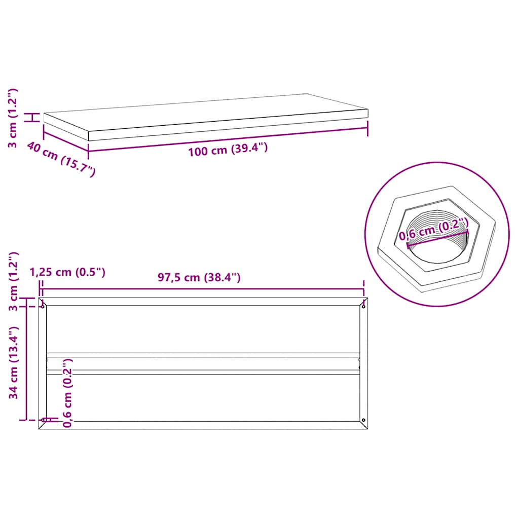 vidaXL Wall Shelves 2 pcs 100x40x3 cm Black Stainless Steel