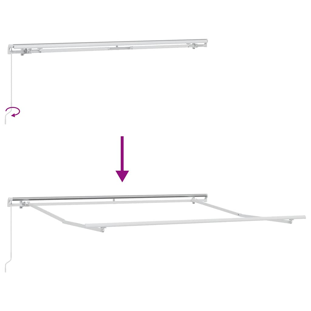 vidaXL Manual Retractable Awning Burgundy 300x250 cm