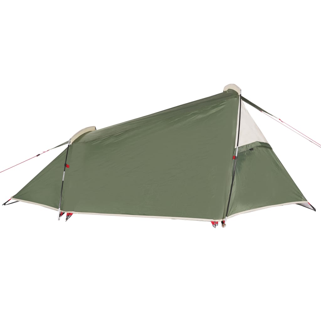 vidaXL Camping Tent Tunnel 2-Person Green Waterproof