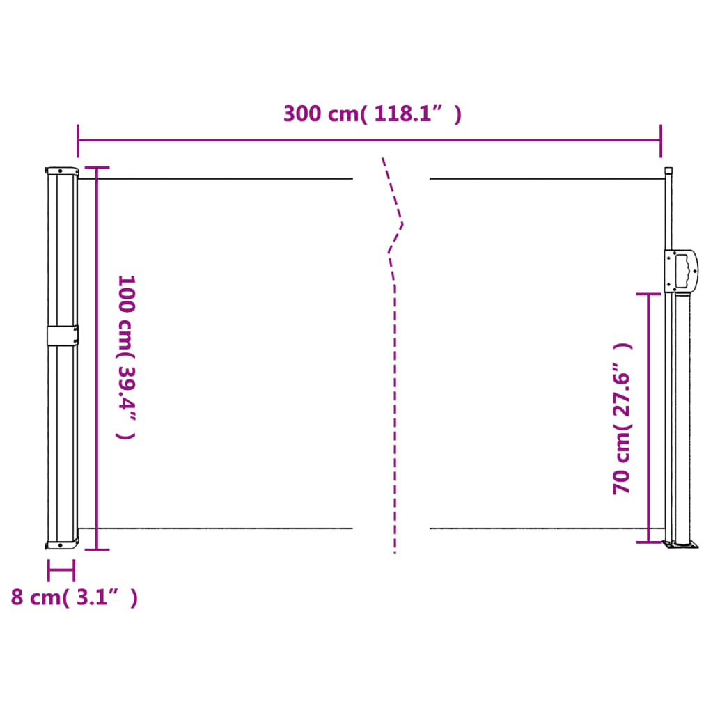 vidaXL Retractable Side Awning White 100x300 cm