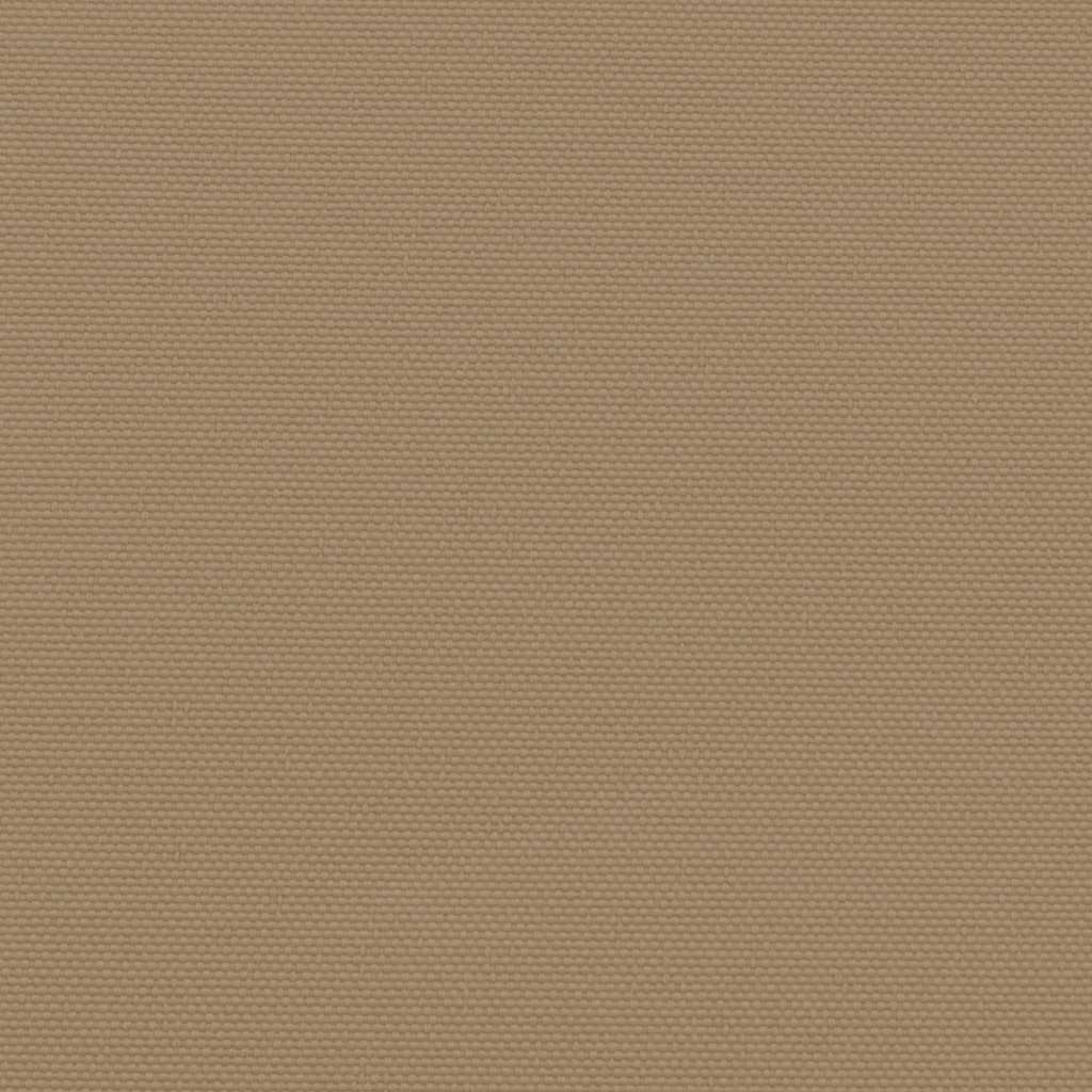 Retractable Side Awning Taupe 170x300 cm