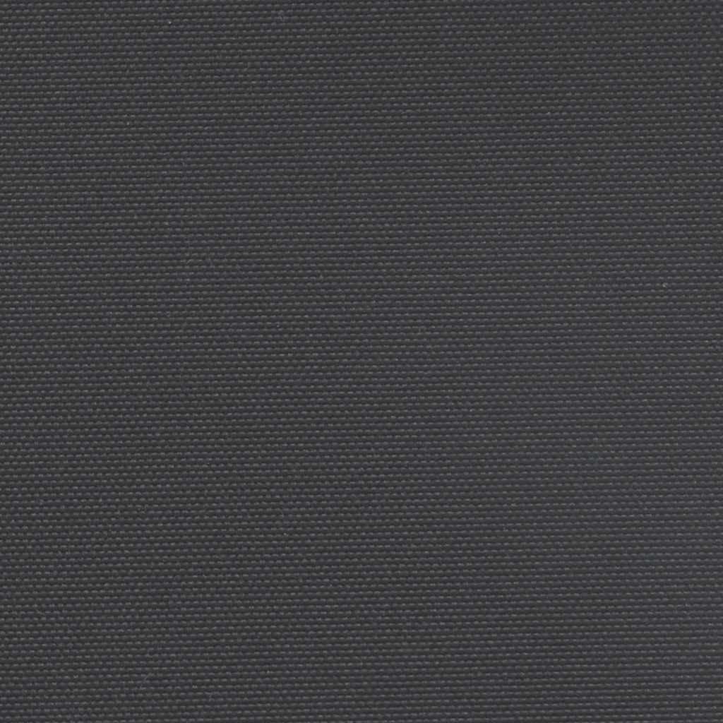 Retractable Side Awning Black 100x500 cm