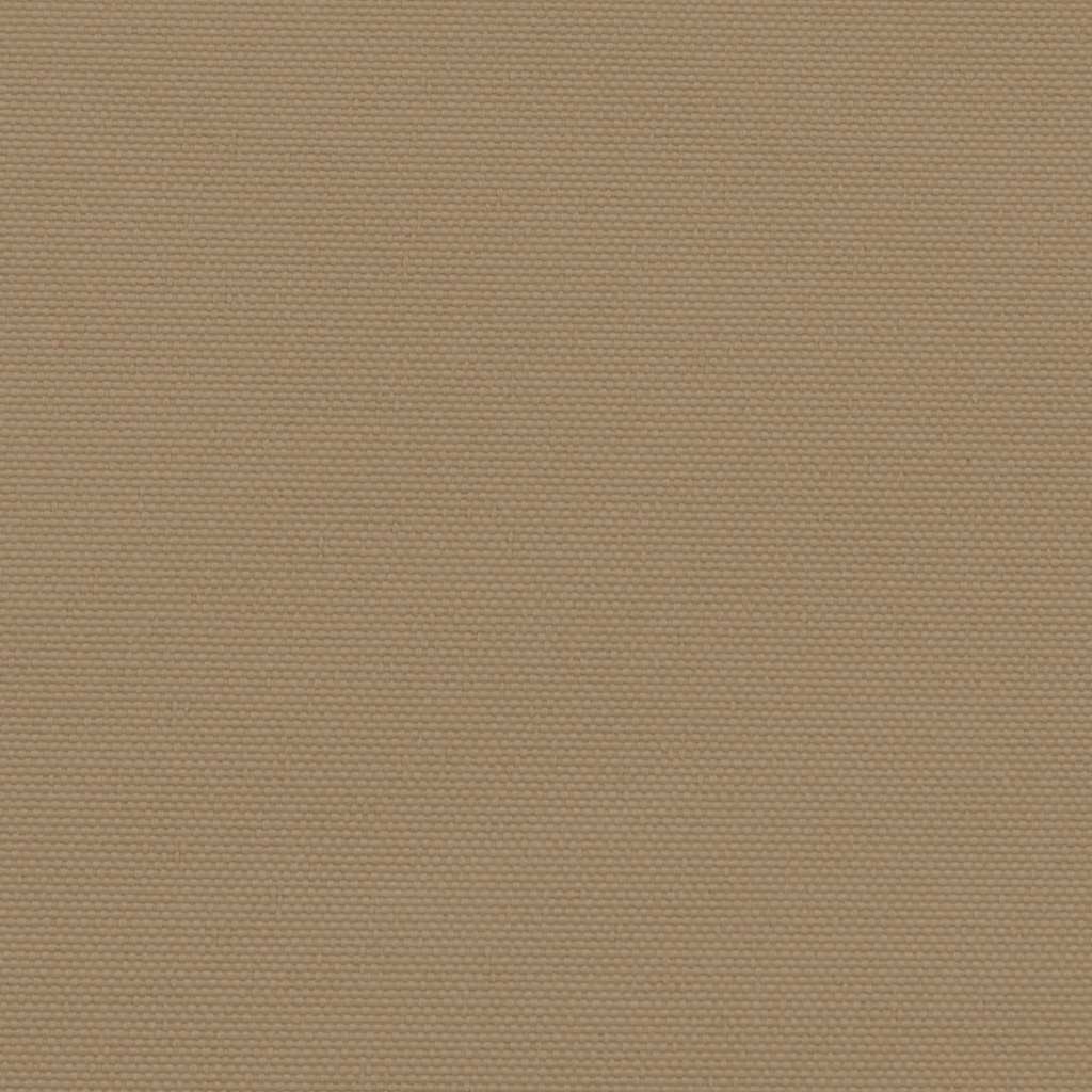 Retractable Side Awning Taupe 220x500 cm