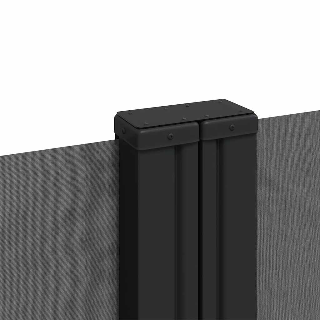 Retractable Side Awning Anthracite 100x1000 cm