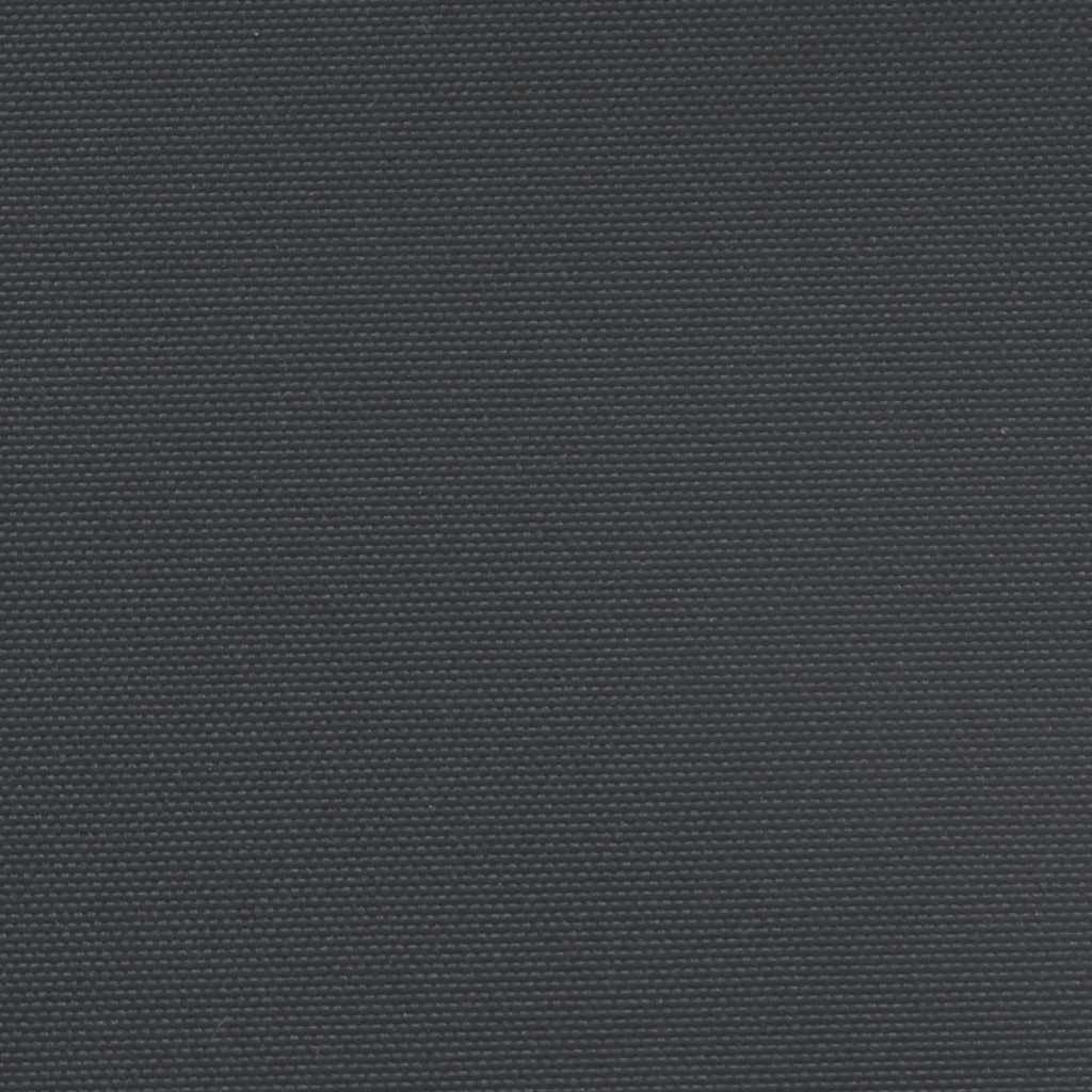 Retractable Side Awning Black 140x1200 cm