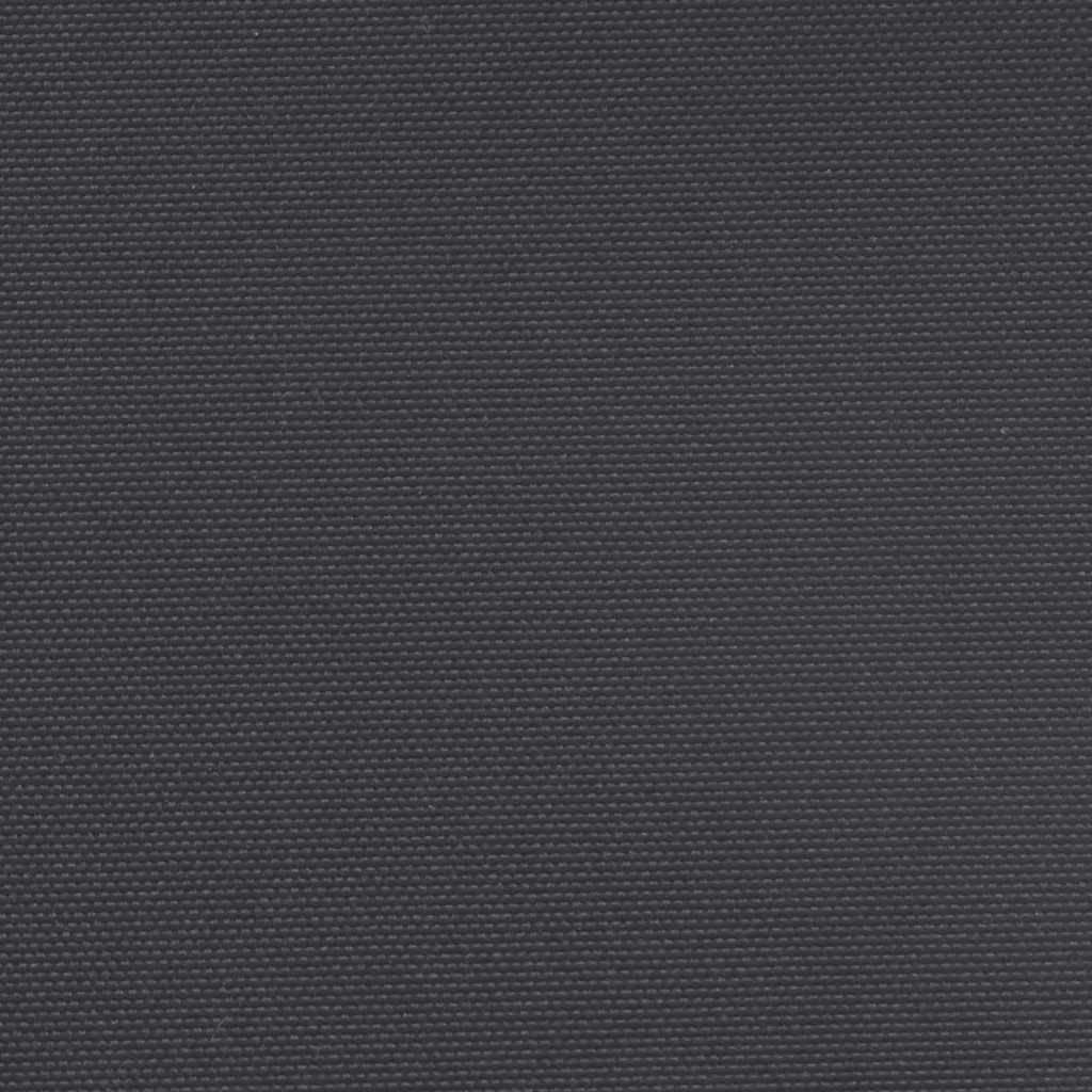 Retractable Side Awning Black 220x1200 cm