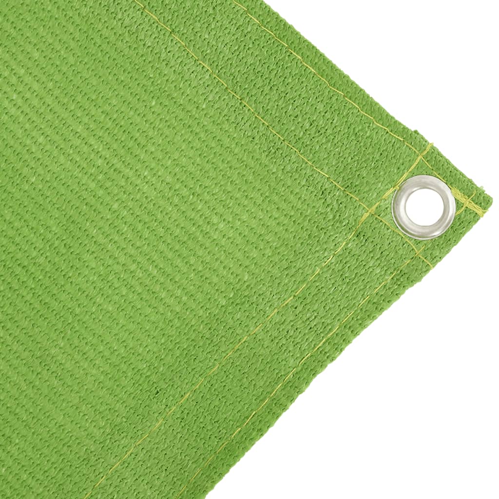 vidaXL Tent Carpet Light Green 250x400 cm HDPE