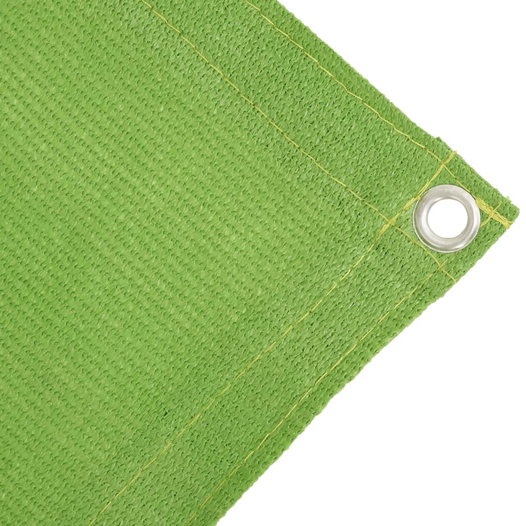 vidaXL Tent Carpet Light Green 250x500 cm HDPE