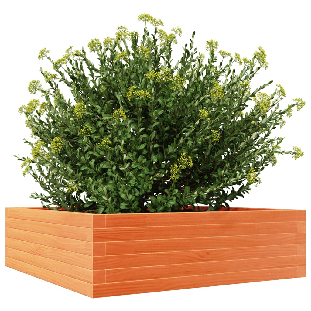 vidaXL Garden Planter Wax Brown 80x80x23 cm Solid Wood Pine