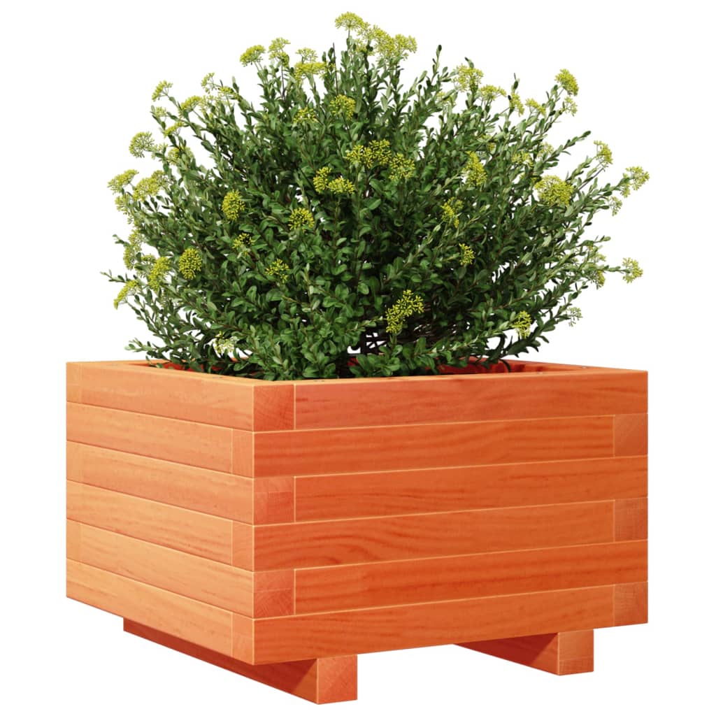 vidaXL Garden Planter Wax Brown 40x40x26.5 cm Solid Wood Pine