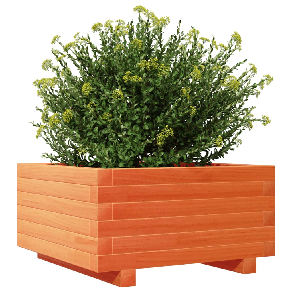 vidaXL Garden Planter Wax Brown 50x50x26.5 cm Solid Wood Pine