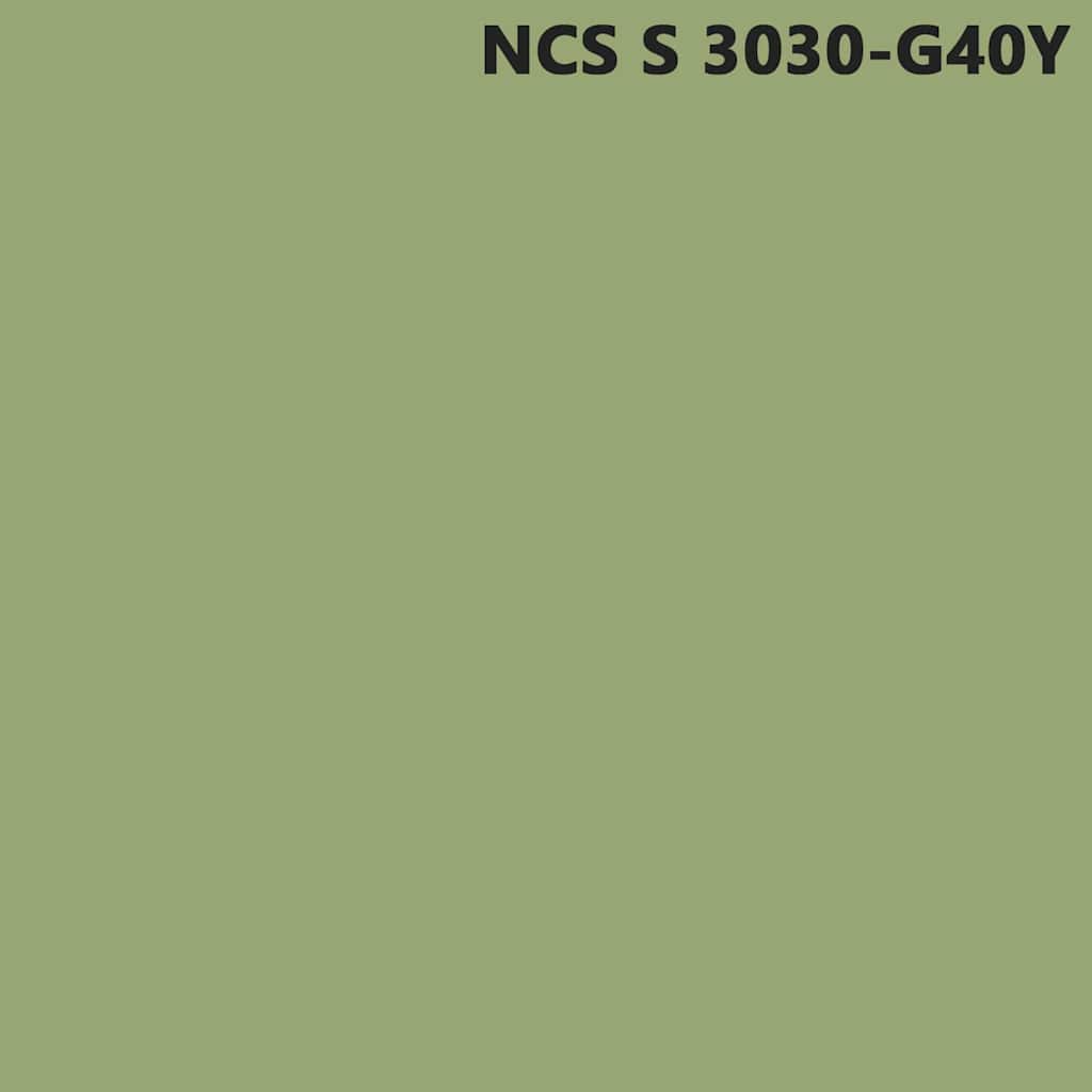 Wall Paint Green 2.5 L Wall Print