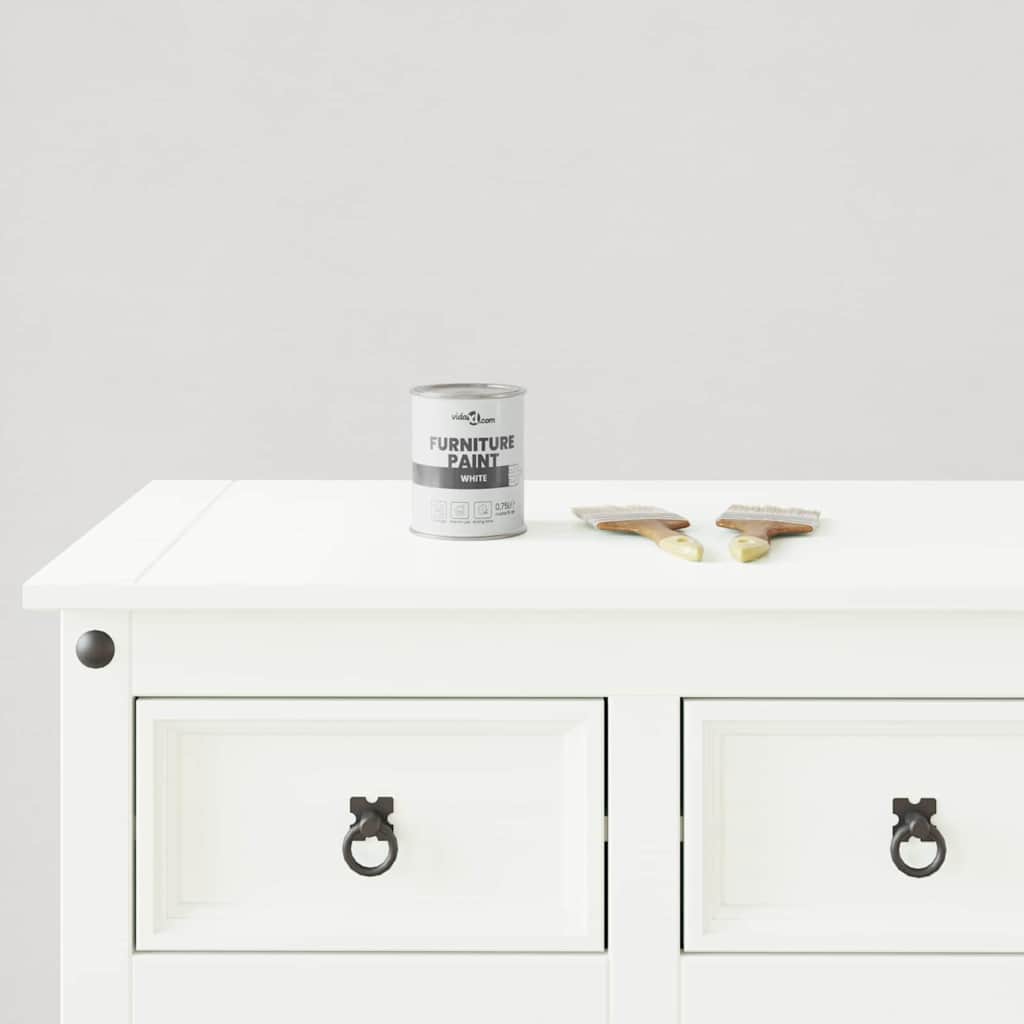 Furniture Paint White 0.75 L Wall Print