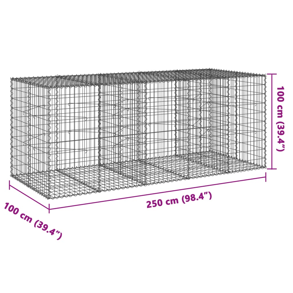 vidaXL Gabion Basket with Cover 250x100x100 cm Galvanised Iron