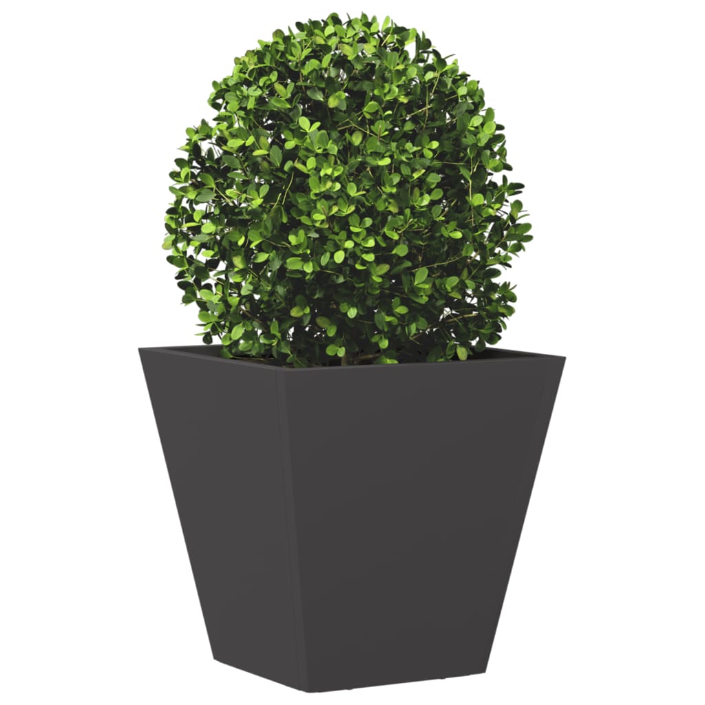 Garden Planters Black 2 pcs 30x30x30 cm Steel